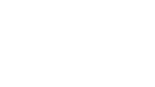 Realm of Shadow Logo